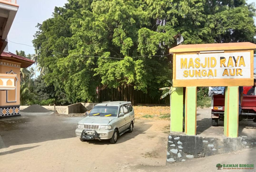 Pohon Beringin Jorong Koto Dalam: Simbol Harmoni Alam, Religi, dan Potensi Wisata Masa...